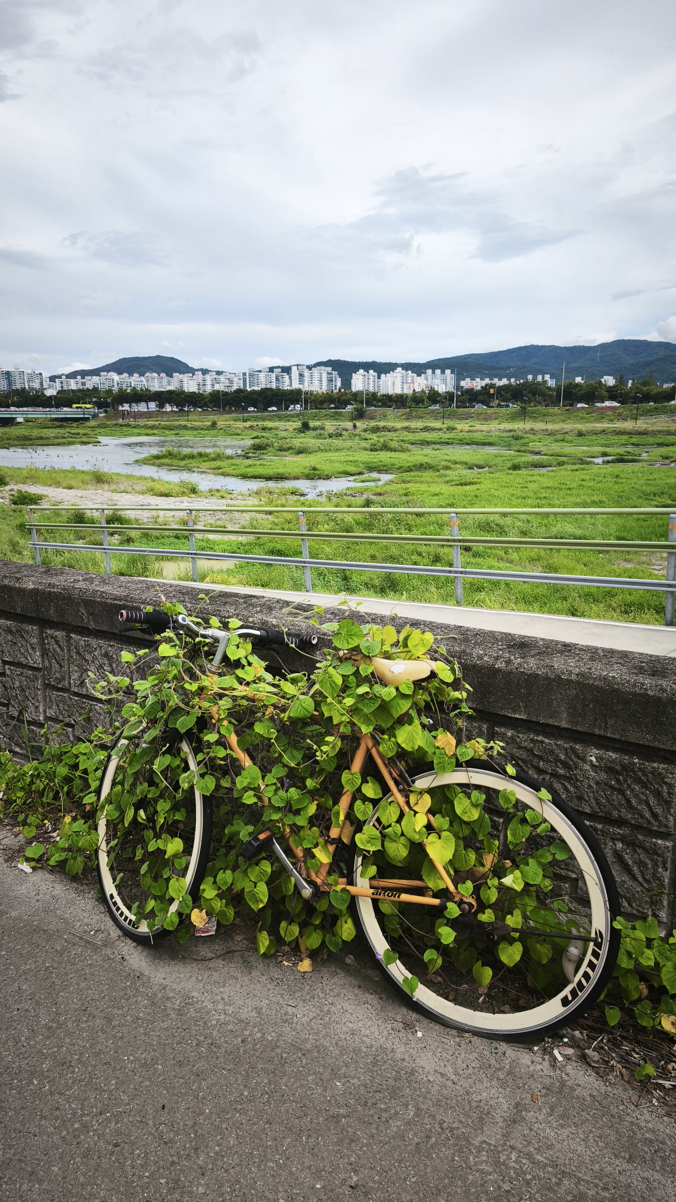 bicycle